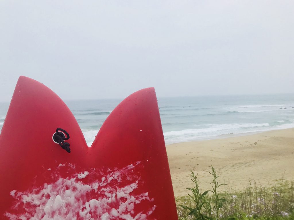 rF SURF BOARD "RETRO FISH" PIGMENT RED (Blackies 別注)